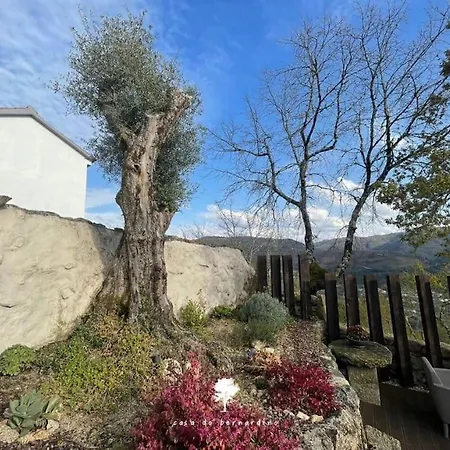 Casa Do Bernardino * Cabril (Villa Real)
