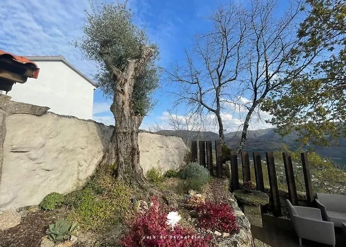 Casa Do Bernardino * Cabril (Villa Real)